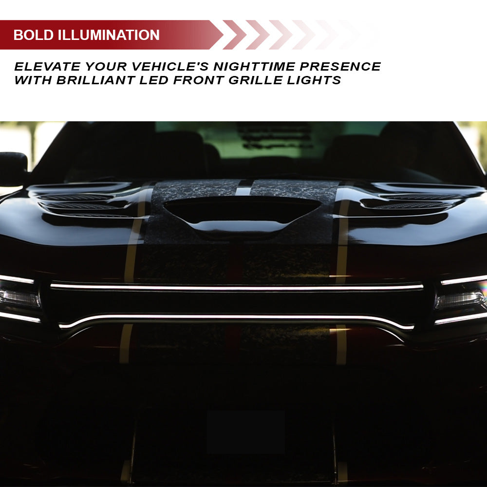 Armordillo 2015-2023 Dodge Charger (Excluding SXT, Police, Scat Pack Widebody and SRT Hellcat Widebody) LED Mesh Front Grille